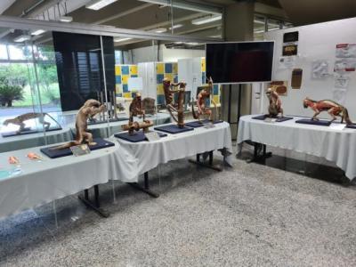 Exposição Moradores da Floresta na Biblioteca Central da Ufes.