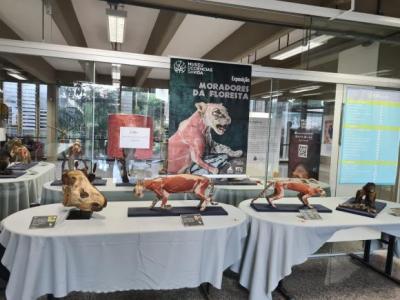 Moradores da floresta na Biblioteca Central da Ufes